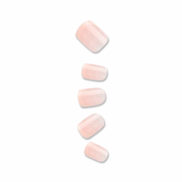 ifb01